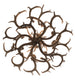 43" Antlers Whitetail Deer 8 Light Chandelier detail view
