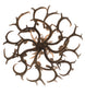43" Antlers Whitetail Deer 8 Light Chandelier detail view