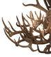 43" Antlers Whitetail Deer 8 Light Chandelier detail view