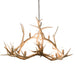 66.5" Antlers Elk 10 Light Oblong Chandelier detail view