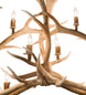 66.5" Antlers Elk 10 Light Oblong Chandelier detail view