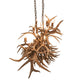 Antlers Oblong Chandelier detail view