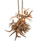 Antlers Oblong Chandelier detail view