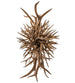 Antlers Oblong Chandelier detail view