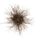 36 inch Twigs 8 Light Chandelier detail view