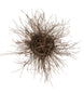 36 inch Twigs 8 Light Chandelier detail view