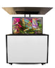 50" Outdoor TV Premium Lift Cabinet