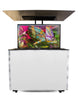 55" Outdoor TV Premium Lift Cabinet