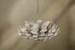 Corbett Aimi Chandelier family shot
