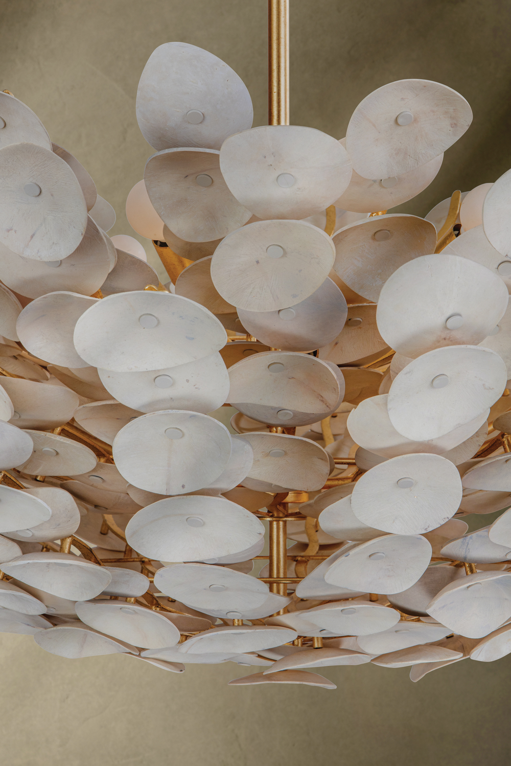 Corbett Aimi Chandelier family shot