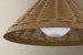 Devlin Exterior Pendant Small detail view
