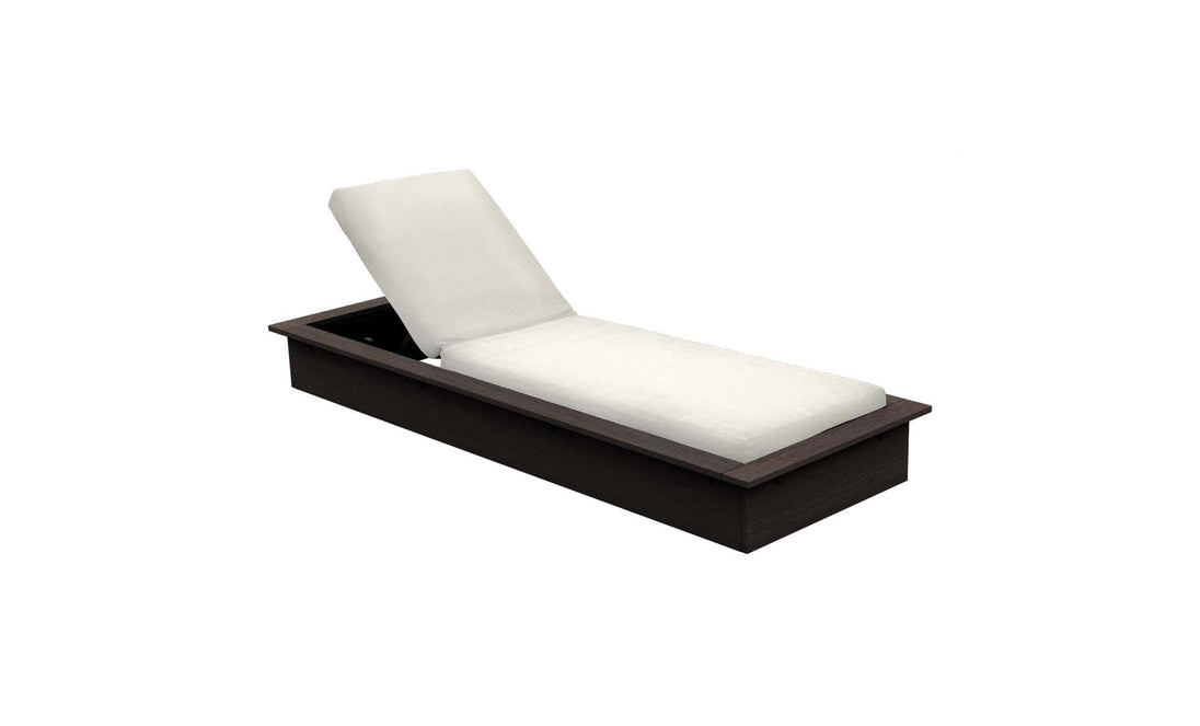 Echo Chaise - Flint resin frame
