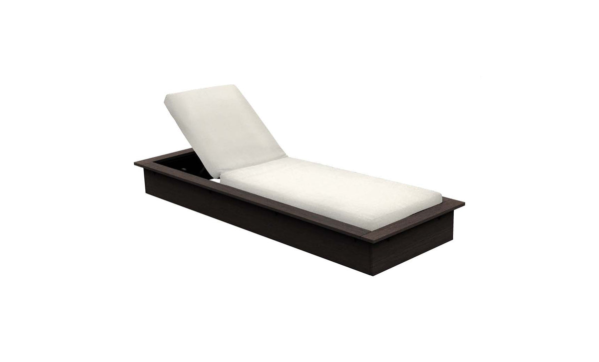 Echo Chaise - Flint resin frame