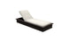 Echo Chaise - Flint resin frame