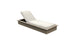 Echo Chaise - Wheat resin frame
