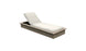 Echo Chaise - Wheat resin frame