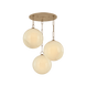 Troy Bramble Chandelier