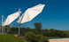 Ultra Cantilever Umbrella 11' Octagon - White