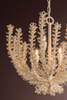 Corbett Pedrillo Chandelier family shot