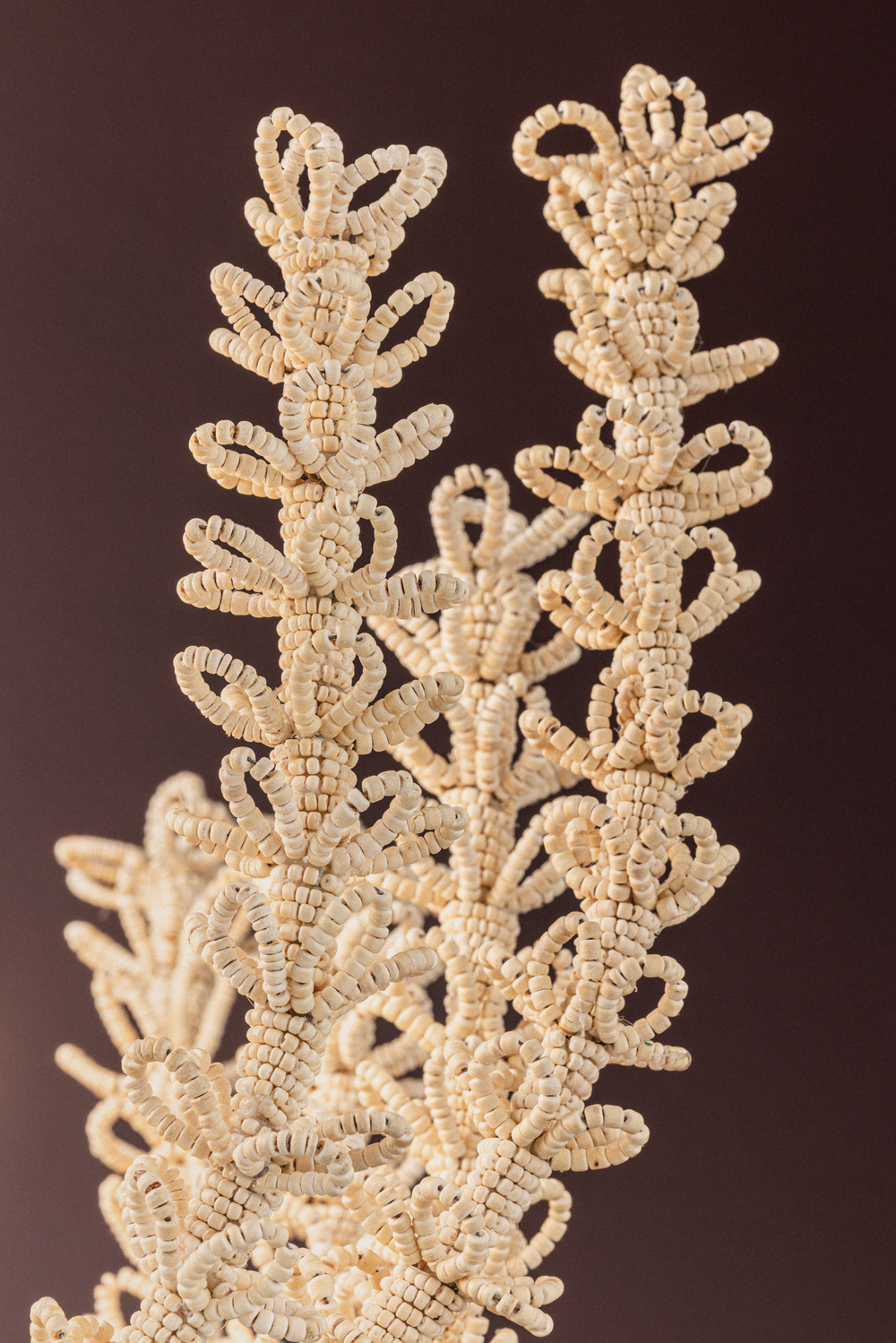 Corbett Pedrillo Chandelier family shot