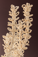 Corbett Pedrillo Chandelier family shot