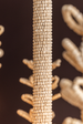 Corbett Pedrillo Chandelier family shot