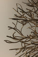 Troy Sierra Chandelier lifestyle setting