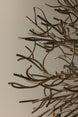 Troy Sierra Chandelier lifestyle setting