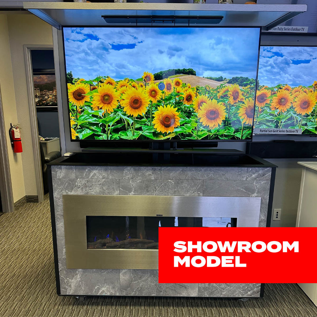 Custom Outdoor Lift Cabinet w/ 55" QLED Outdoor TV