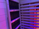 Lumin Infrared Sauna Two