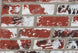 Lion Stucco Rock Upgrade - Used Brick